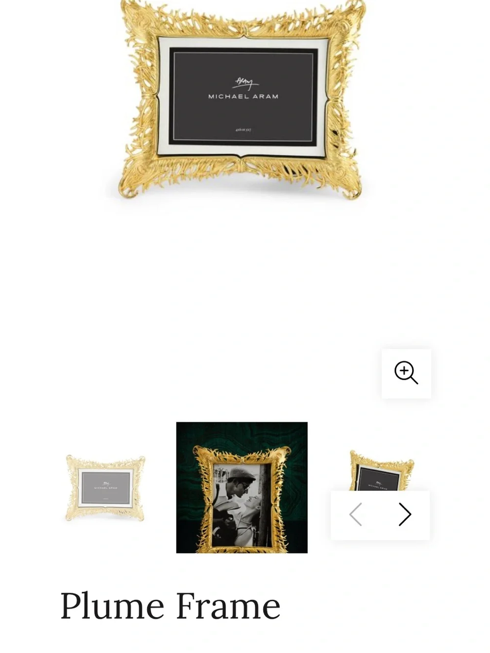 Michael Aram Frame 